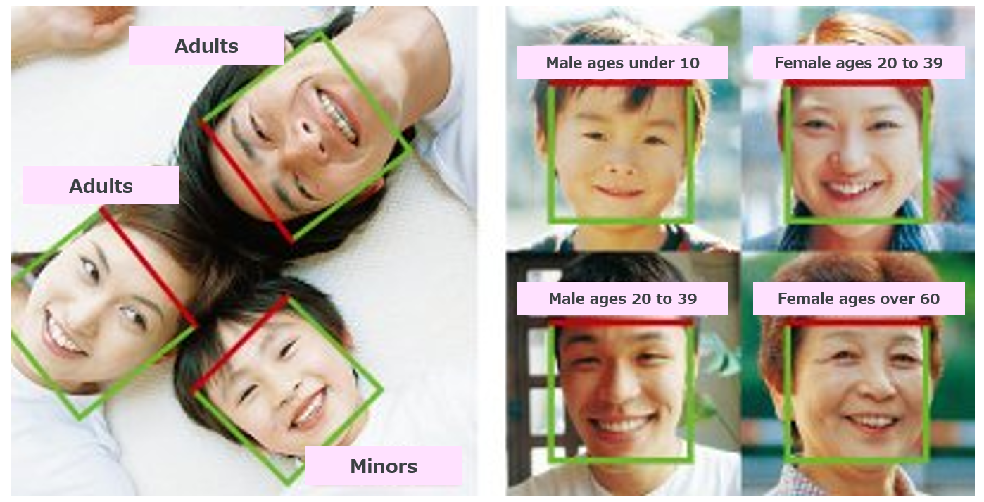 Gender & Age Estimation