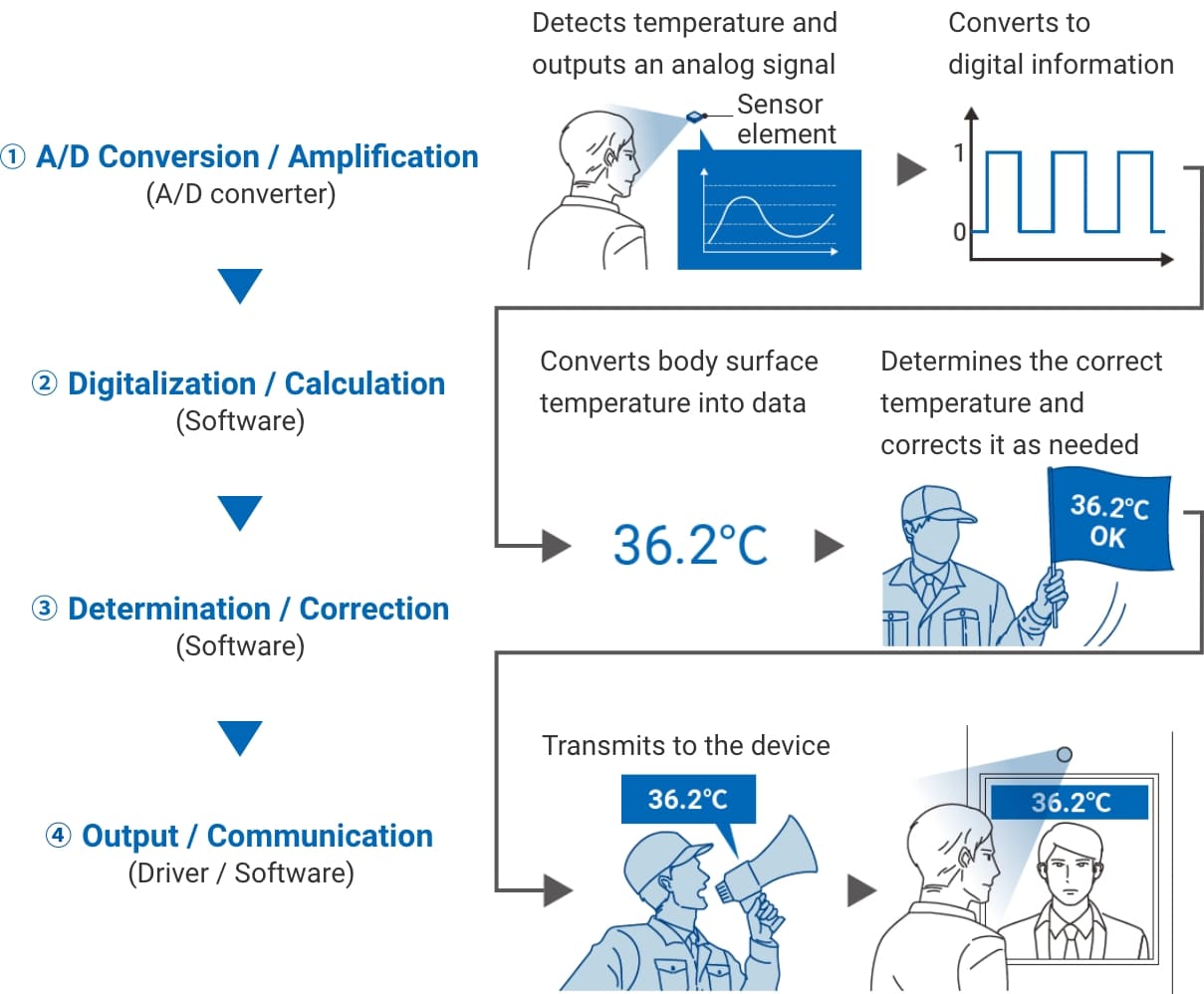 1.A/D Conversion / Amplification(A/D converter):Detects temperature and outputs an analog signal-->Converts to digital information. 2.Digitalization / Calculation(Software):Converts body surface temperature into data. 3.Determination / Correction(Software):Determines the correct temperature and corrects it as needed. 4.Output / Communication(Driver / Software):Transmits to the device