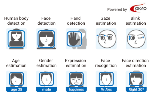 Human body detection, Face detection, Hand detection, Gaze estimation、Blink estimation, Age estimation, Gender estimation、Expression estimation, Face recognition, Face direction estimation