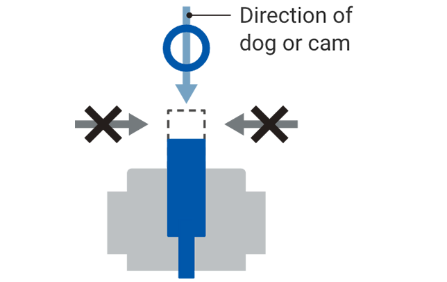 Direction of dog or cam