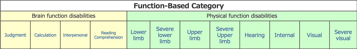 (Function-Based Category) Brain function disabilities :Judgment, Calculation, Interpersonal, Reading Comprehension/Physical function disabilities: Lower limb, Severe lower limb, Upper limb, Severe Upper limb, Hearing, Internal, Visual, Severe visual