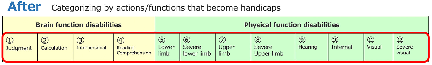 (After：Categorizing by actions/functions that become handicaps) Brain function disabilities: ①Judgment②Calculation③Interpersonal④Reading Comprehension/Physical function disabilities: ⑤Lower limb⑥Severe lower limb⑦Upper limb⑧Severe Upper limb⑨Hearing⑩Internal⑪Visual⑫Severe visual